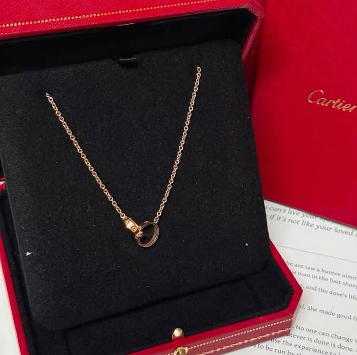 Dây chuyền Cartier Love Đôi Rose Gold, ảnh tổng thể