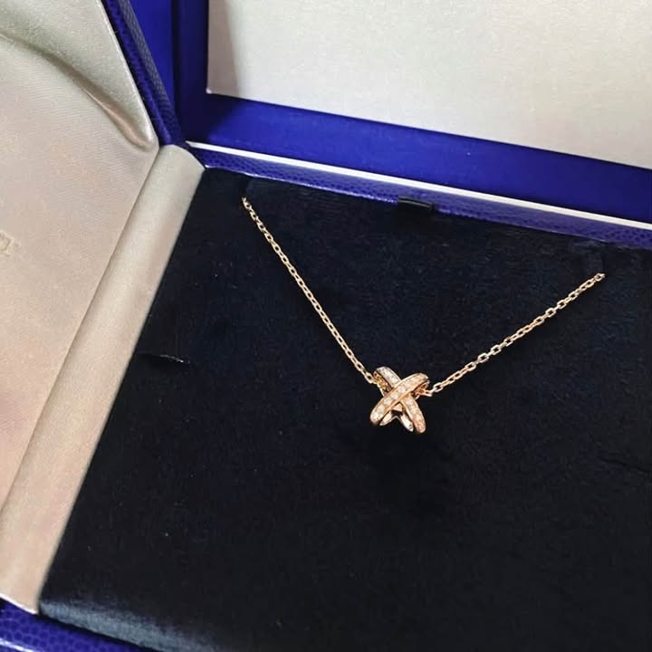 Dây chuyền Chaumet Jeux de Liens Diamond, ảnh tổng thể